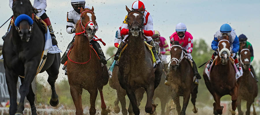 Top 2021 Stakes Races to Bet On From July 3rd to July 5th