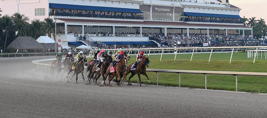 Top 2021 Stakes Races to Bet On From June 12th to June 13th