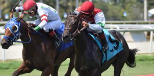 Feature image Top 2021 Stakes Races to Wager From Oct. 1st to 3rd - Horse Racing Betting