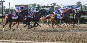 Top 2021 Stakes Races to Wager From Sep. 25th to 26th - Horse Racing Betting