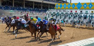 Top 2021 Stakes Races to Wager On Aug. 21st - Horse Racing Betting