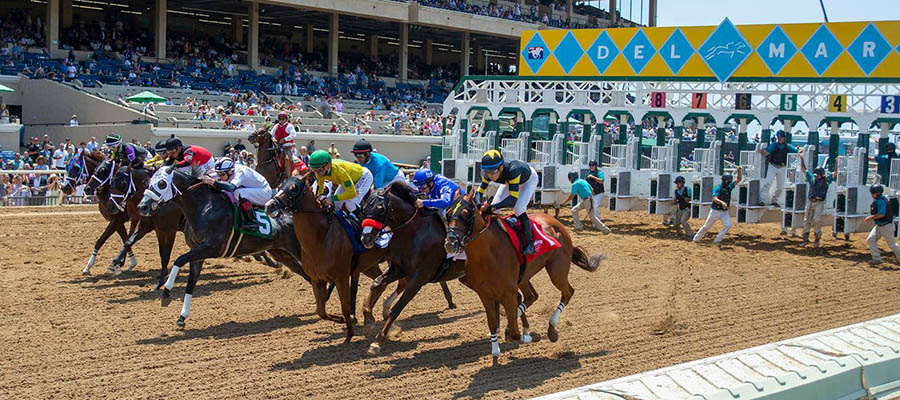 Top 2021 Stakes Races to Wager On Aug. 21st - Horse Racing Betting
