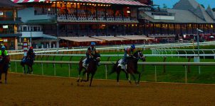 Top 2021 Stakes Races to Wager On Aug. 28th - Horse Racing Betting