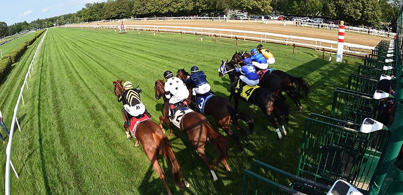 Top 2021 Stakes Races to Wager On Sep. 18th - Horse Racing Betting