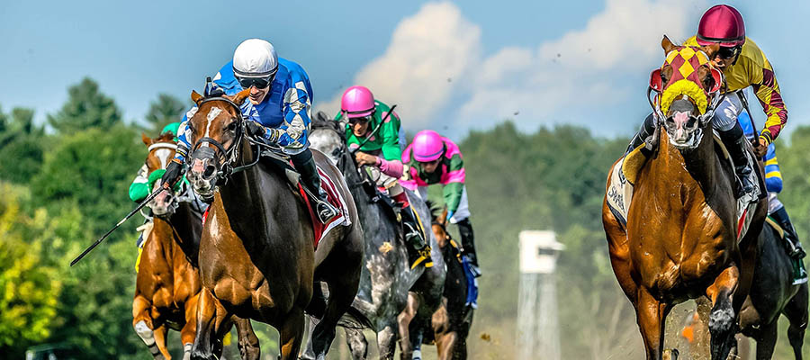 Top 2021 Stakes Races to Wager On Sep. 4th - Horse Racing Betting