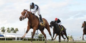 Top 2022 Stakes Races to Bet On: Non-Graded Races to Must Watch