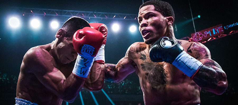 Top Boxing Fights to Bet On: Romero vs Davis Highlights Weekend