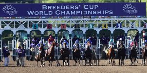 Top Stakes Races for the Week: 2020 Breeders’ Cup – Nov. 2