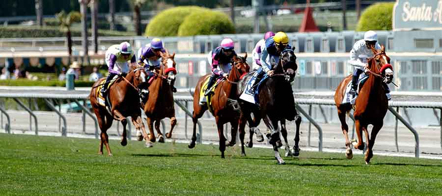 Top Stakes to Bet On: G3 Sham, 5 Other Great Races for Weekend Action