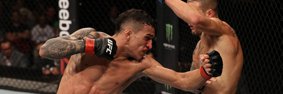 UFC Fight Night Lee vs Oliveira Odds, Preview, and Free Picks