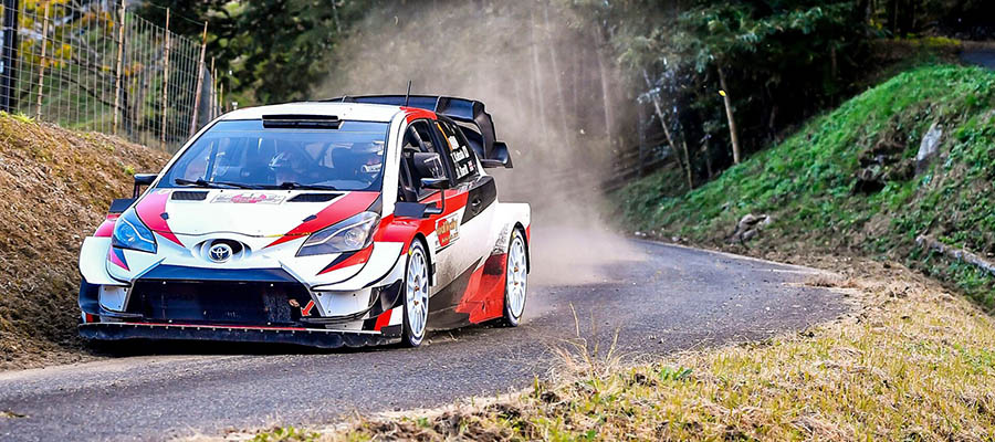 WRC Rally Japan Betting Favorites, Analysis & Prediction