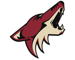 Arizona Coyotes NHL Hockey