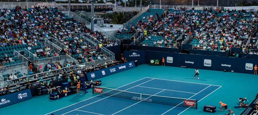 ATP 1000 Miami Open Top 3 Odds to Win