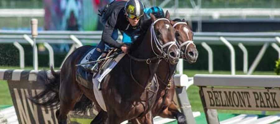 2023 Belmont Stakes Betting Odds and Analysis for the Current Entry Field