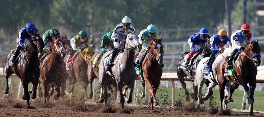 Bet on the MyBookie's Top Graded Stakes Races for the Week