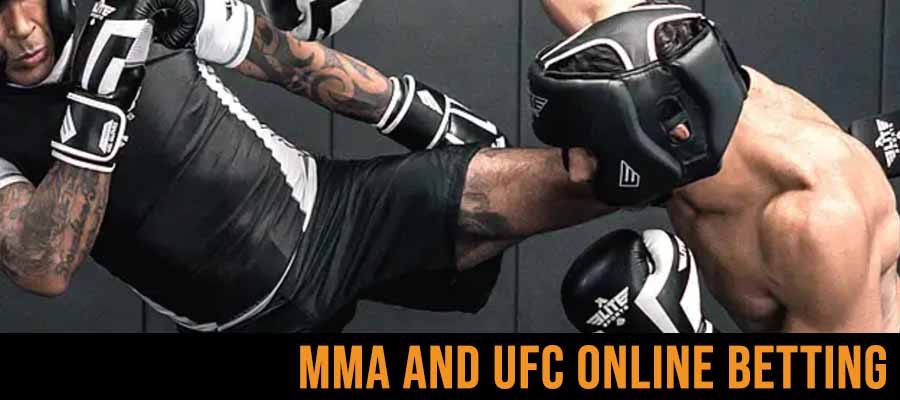 Betting Guide: Basics Of MMA and UFC Online Betting