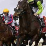 Beyond the Odds: How to Find Hidden Value in Every Horse Race (Even for Beginners!)