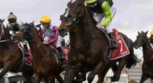 Beyond the Odds: How to Find Hidden Value in Every Horse Race (Even for Beginners!)