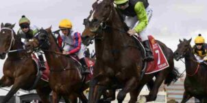 Beyond the Odds: How to Find Hidden Value in Every Horse Race (Even for Beginners!)