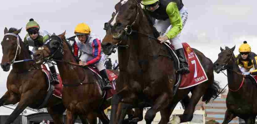 Beyond the Odds: How to Find Hidden Value in Every Horse Race (Even for Beginners!)