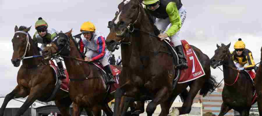Beyond the Odds: How to Find Hidden Value in Every Horse Race (Even for Beginners!)
