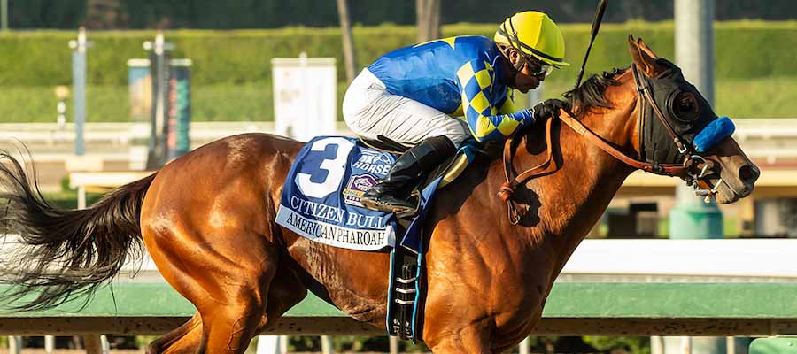 Top 10 Current Odds Kentucky Derby: Bet on the KD Contenders