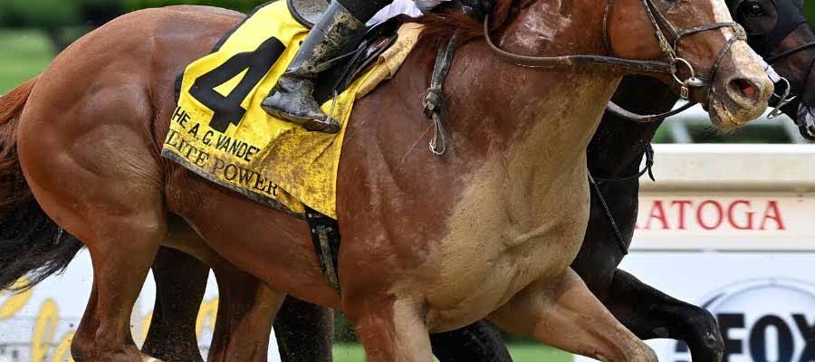 Top Stakes Races of the Weekend & Horse Racing Betting Insights