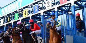 Horse Racing in December: Top Grade Stakes to Bet On This Weekend