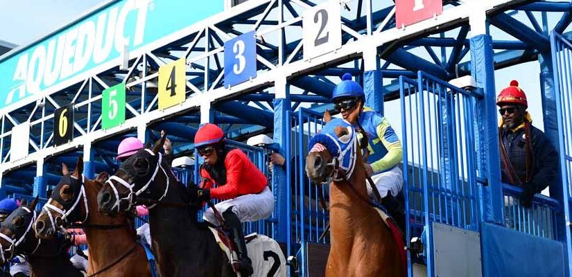 Horse Racing in December: Top Grade Stakes to Bet On This Weekend