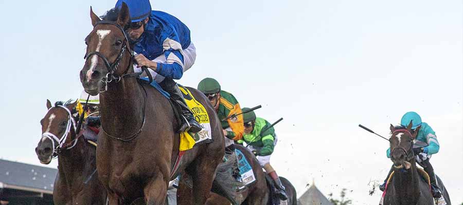 Betting Top Horse Races: Best Stakes Races this Week Happen at the Spa