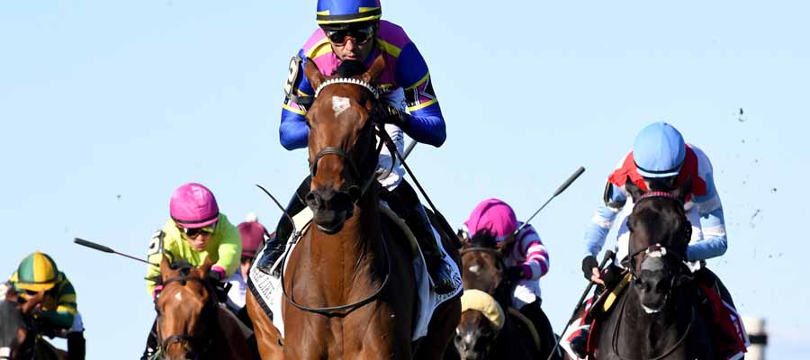 Betting Top Horse Races: Massive Grade 1 Cards in Belmont and Anita Anita