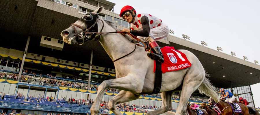 Betting Top Horse Races: Pimlico, Belmont Park, Churchill Downs, and Woodbine's Massive Cards