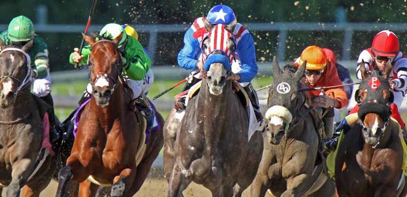 Betting Horse Racing in January: Get Your Racing Action Today