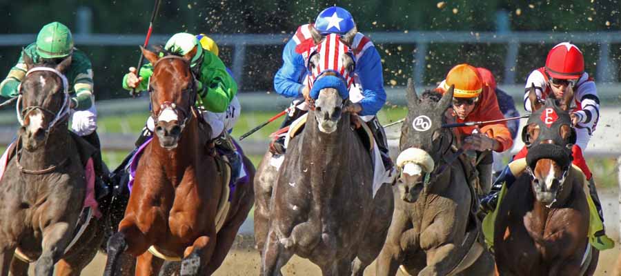 Betting Horse Racing in January: Get Your Racing Action Today