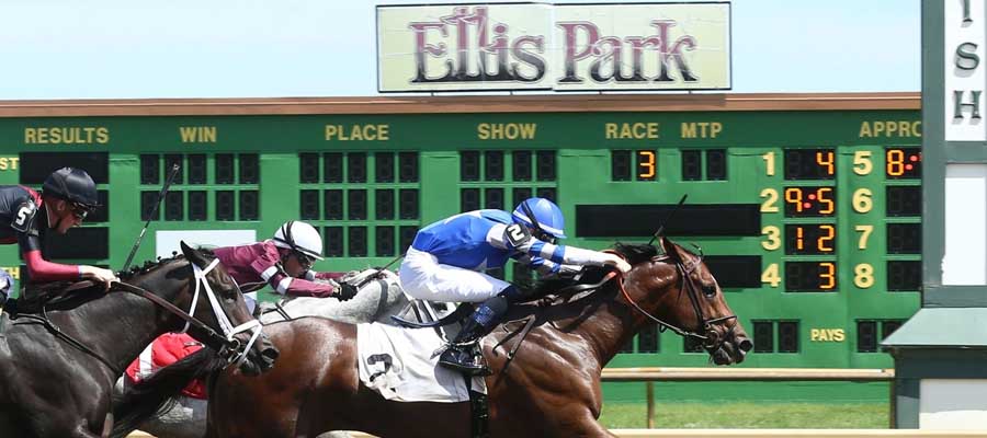 Betting Top Horse Races: Stephen Foster, Wise Dan plus 4 More Stakes