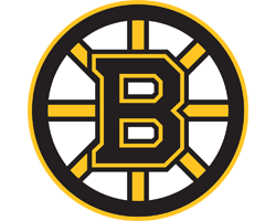 Boston Bruins NHL Hockey