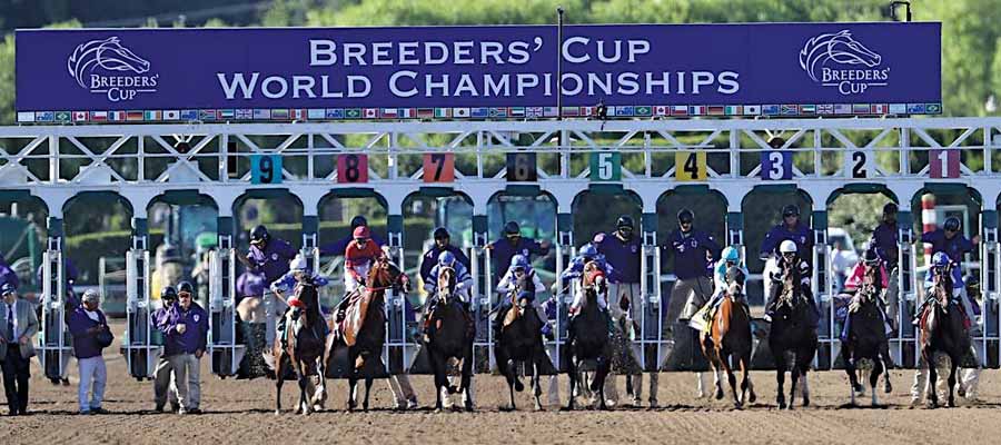2023 Breeders’ Cup Betting: Distaff and Classic Shaping Up as Three Year Old Battles