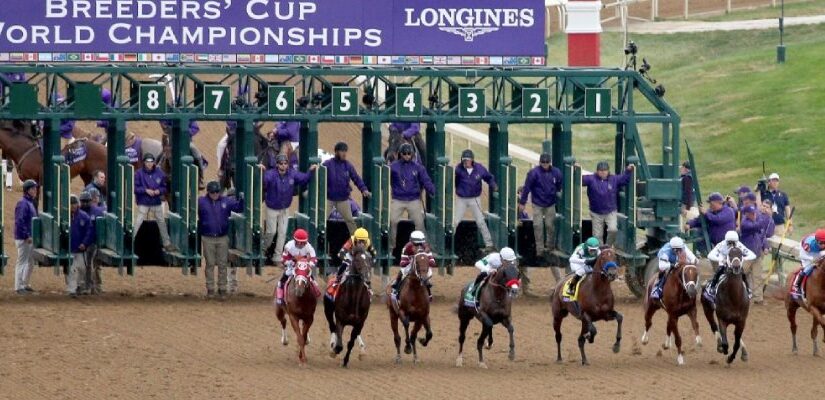 Breeders' Cup Top Winners in the Horse Racing History & Contenders for 2024