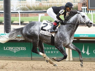 Breeders' Cup: Knicks Go, horse with 2 winning Races