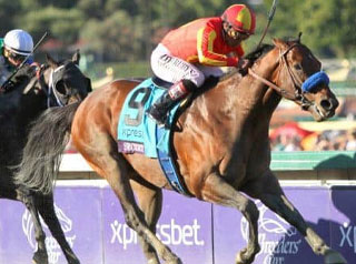 Breeders' Cup: Secret Circle, horse with 2 winning Races