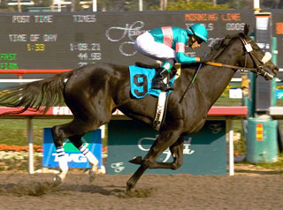 Breeders' Cup: Zenyatta, horse with 2 winning Races