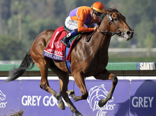 Breeders' Cup: Beholder, horse with 3 winning Races