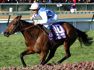 Breeders' Cup: Goldikova, horse with 3 winning Races