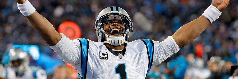 Carolina panthers odds to make playoffs