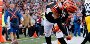 Jets vs Bengals 2019 NFL Week 13 Spread, Expert Preview & Prediction