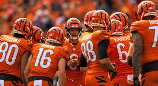 NFL Teams in the Playoffs History: Cincinnati Bengals