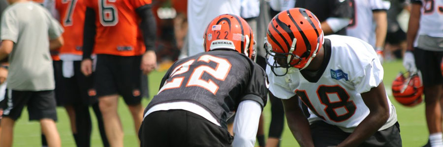 Are the Bengals a safe bet for NFL Preseason Week 1?