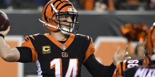 Bengals at Panthers NFL Week 3 Lines & Preview