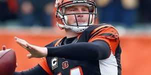 bengals-vs-steelers-nfl-playoff-odds