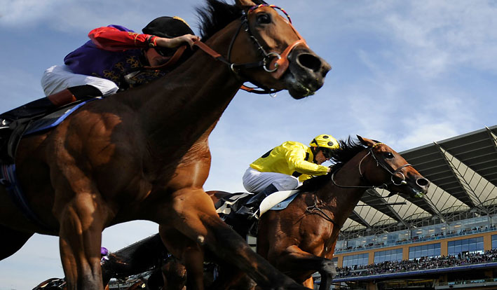 horse-race-betting-guide